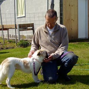 Meet your Posher, Steve